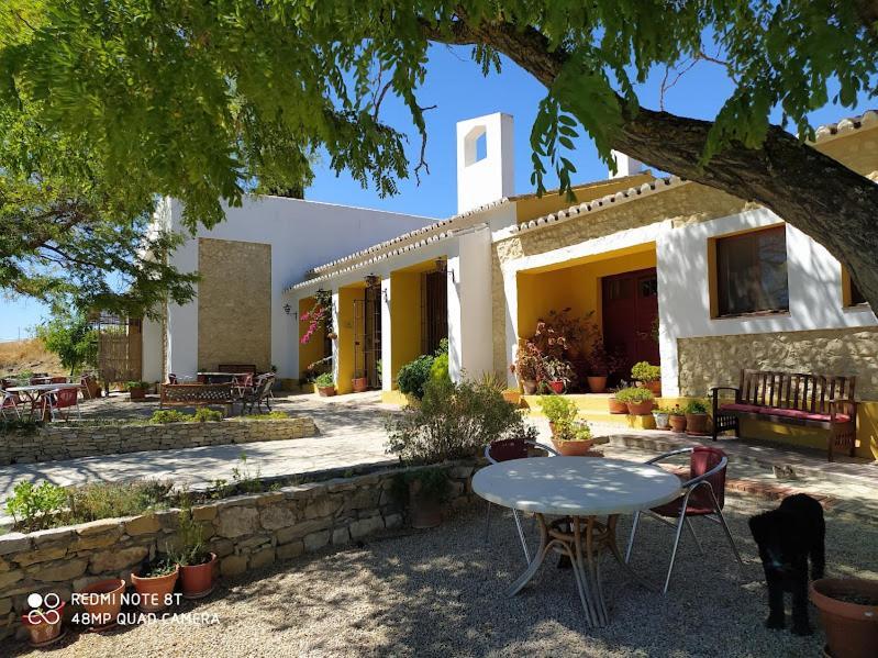 La Escuela Del Campo Acomodação com café da manhã Setenil De Las Bodegas Exterior foto